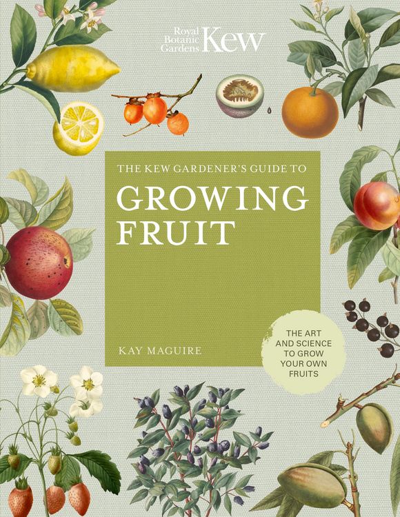 Produktbild: The Kew Gardener's Guide to Growing Fruit