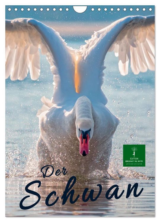 Produktbild: Der Schwan (Wandkalender 2026 DIN A4 hoch), CALVENDO Monatskalender