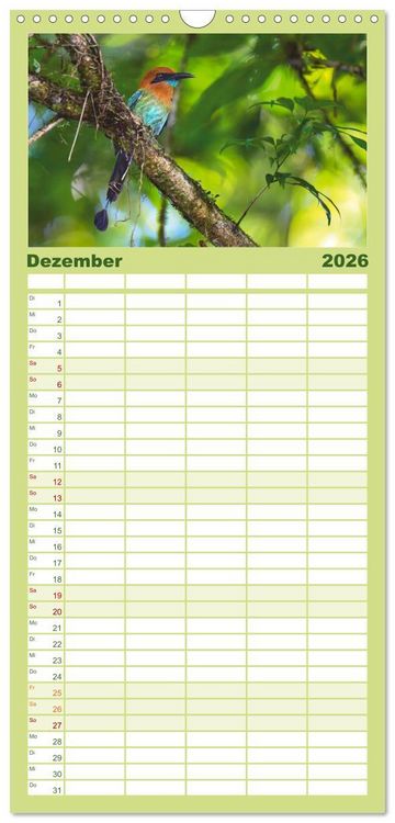 Produktbild: Familienplaner 2026 - Costa Ricas gefiederte Pracht mit 5 Spalten (Wandkalender, 21 x 45 cm) CALVENDO