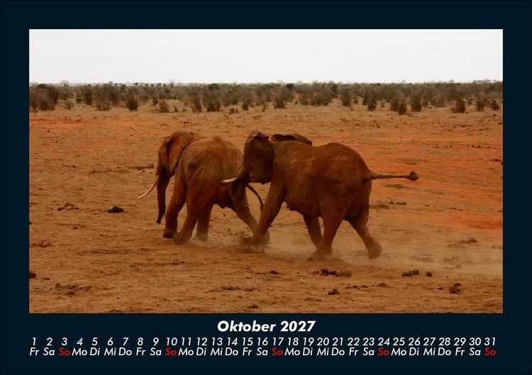 Produktbild: Elefanten 2027 Fotokalender DIN A5