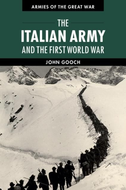 Produktbild: Italian Army and the First World War