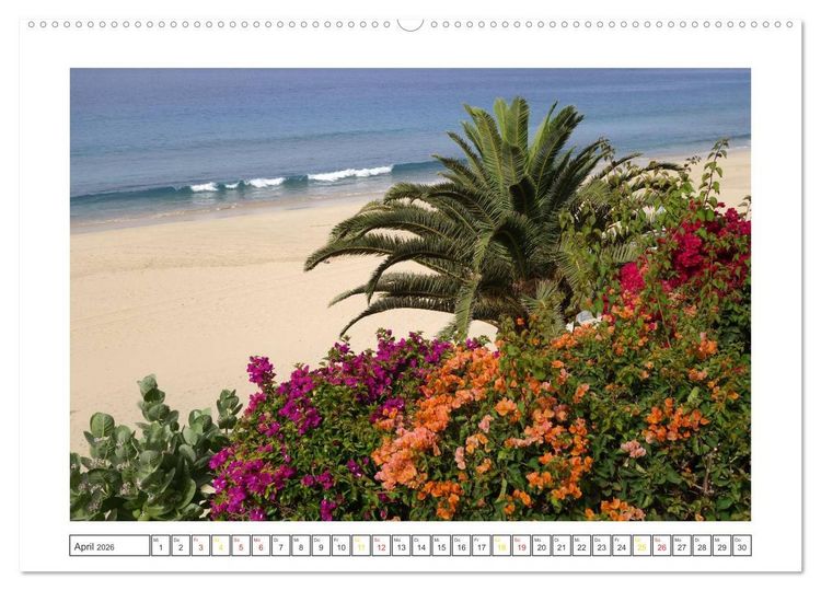 Produktbild: Fuerteventura - Insel im Licht (hochwertiger Premium Wandkalender 2026 DIN A2 quer), Kunstdruck in Hochglanz
