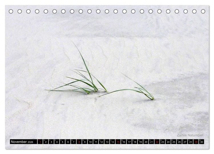 Produktbild: T&ouml;werland Juist (Tischkalender 2026 DIN A5 quer), CALVENDO Monatskalender
