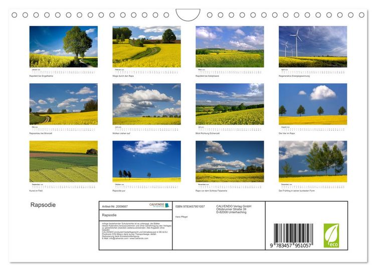 Produktbild: Rapsodie (Wandkalender 2026 DIN A4 quer), CALVENDO Monatskalender