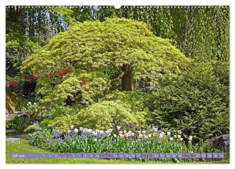 Produktbild: Japanischer Garten Leverkusen (hochwertiger Premium Wandkalender 2026 DIN A2 quer), Kunstdruck in Hochglanz