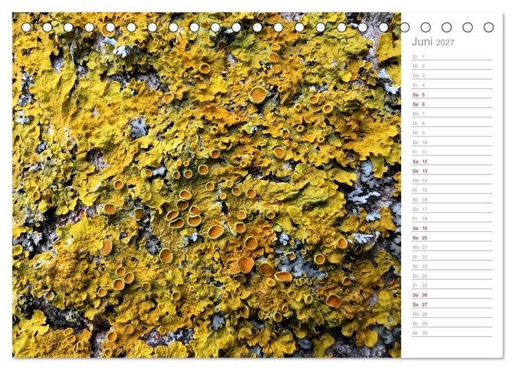 Produktbild: Abstrakte Umwelt (Tischkalender 2027 DIN A5 quer), CALVENDO Monatskalender