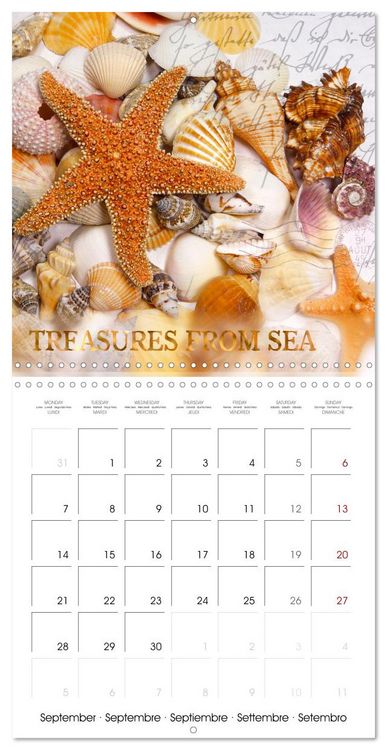 Produktbild: Life is better at the sea (Wall Calendar 2026 12 &times; 12 Inch) CALVENDO 12 Month Wall Calendar