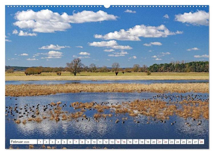 Produktbild: Wildes Wendland (Wandkalender 2026 DIN A2 quer), CALVENDO Monatskalender