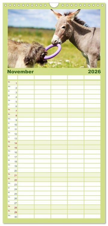 Produktbild: Familienplaner 2026 - Das Esel-Paradies - Hunde und andere Feunde mit 5 Spalten (Wandkalender, 21 x 45 cm) CALVENDO
