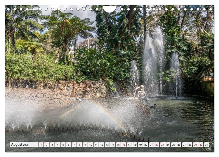 Produktbild: Madeira - Funchal (Wandkalender 2026 DIN A4 quer), CALVENDO Monatskalender