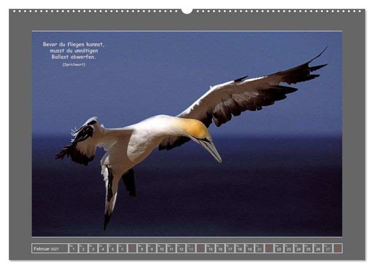 Produktbild: Naturwunder Neuseeland - in Bild und Text (Wandkalender 2027 DIN A2 quer), CALVENDO Monatskalender