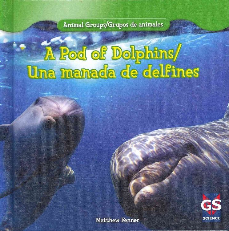Produktbild: Animal Groups / Grupos de Animales