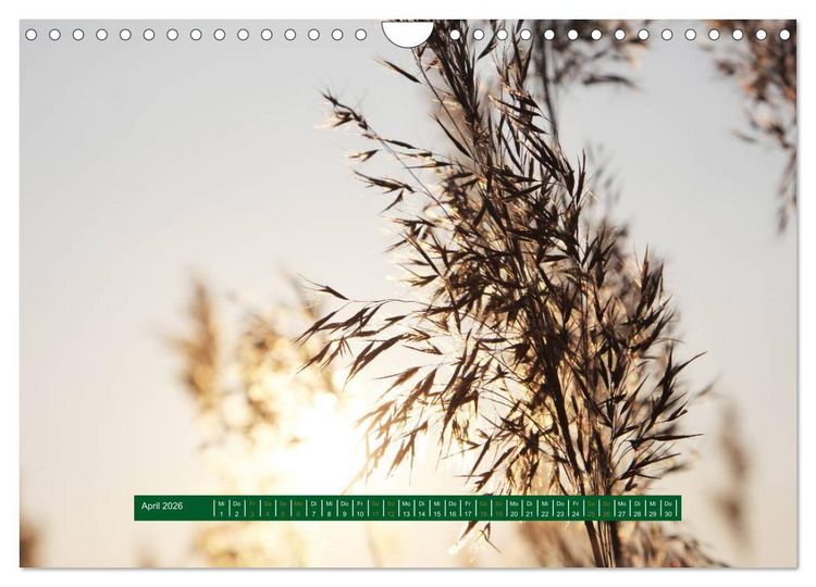 Produktbild: Unterwegs im Deister (Wandkalender 2026 DIN A4 quer), CALVENDO Monatskalender