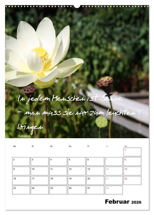 Produktbild: Spr&uuml;che und Weisheiten f&uuml;r&acute; s Jahr (Wandkalender 2026 DIN A2 hoch), CALVENDO Monatskalender