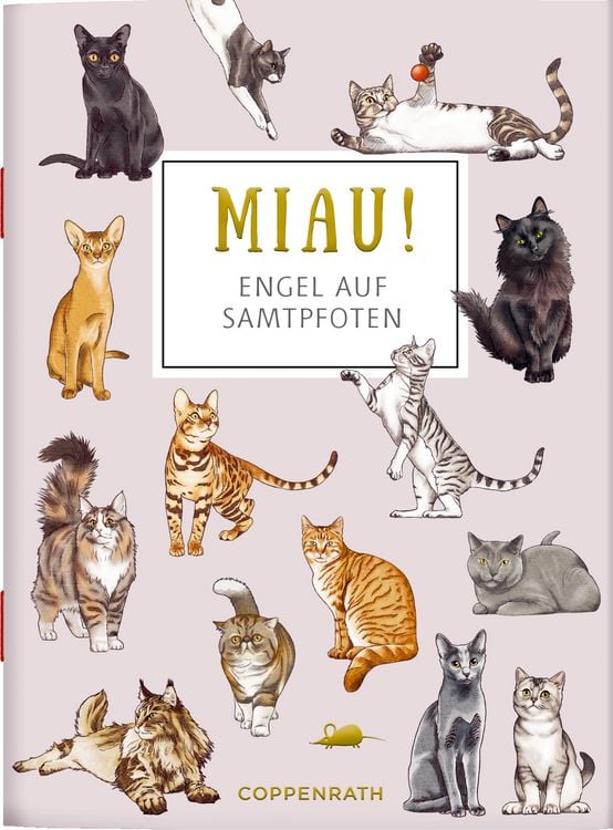 Produktbild: MIAU! - Engel auf Samtpfoten