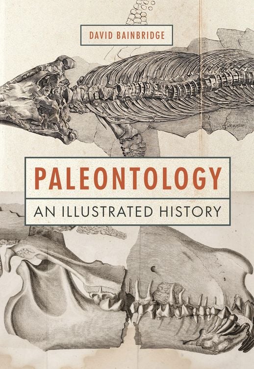 Produktbild: Paleontology - An Illustrated History