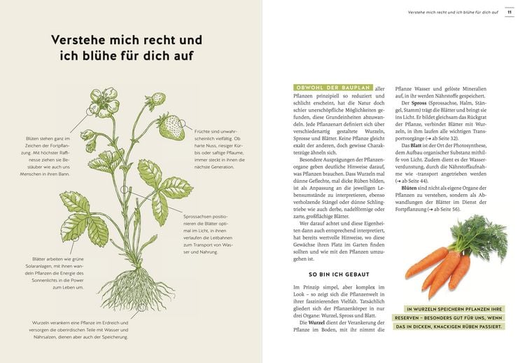 Produktbild: Pflanzen endlich verstehen