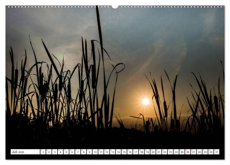 Produktbild: Osterholz-Scharmbeck, Natur-Impressionen aus dem Teufelsmoor (Wandkalender 2026 DIN A2 quer), CALVENDO Monatskalender