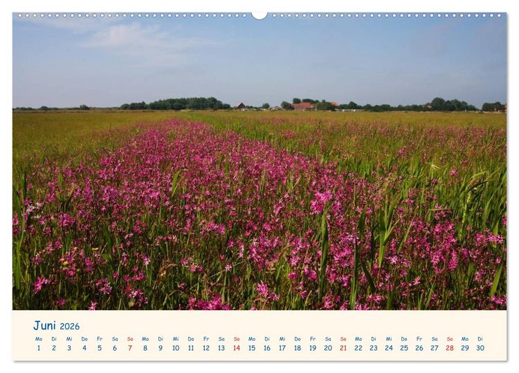 Produktbild: Urlaub auf Borkum (hochwertiger Premium Wandkalender 2026 DIN A2 quer), Kunstdruck in Hochglanz