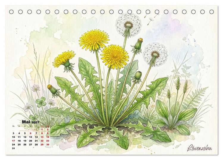 Produktbild: Wilde Kostbarkeiten &ndash; Essbar, gesund & wundersch&ouml;n (Tischkalender 2027 DIN A5 quer), CALVENDO Monatskalender