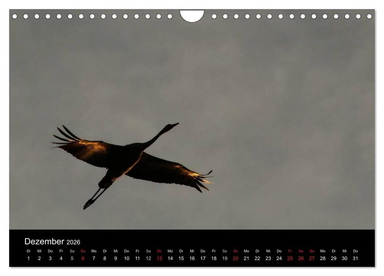 Produktbild: Kraniche (Wandkalender 2026 DIN A4 quer), CALVENDO Monatskalender