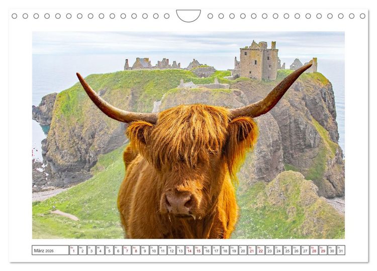 Produktbild: Schottland - eine Rundreise (Wandkalender 2026 DIN A4 quer), CALVENDO Monatskalender