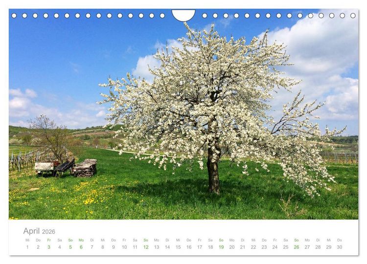 Produktbild: &Ouml;sterreich Rundreise (Wandkalender 2026 DIN A4 quer), CALVENDO Monatskalender