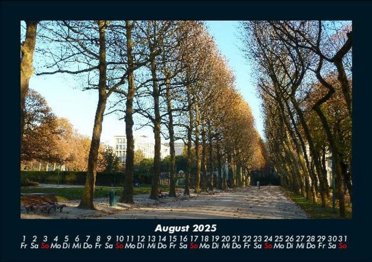 Produktbild: B&auml;ume 2025 Fotokalender DIN A5
