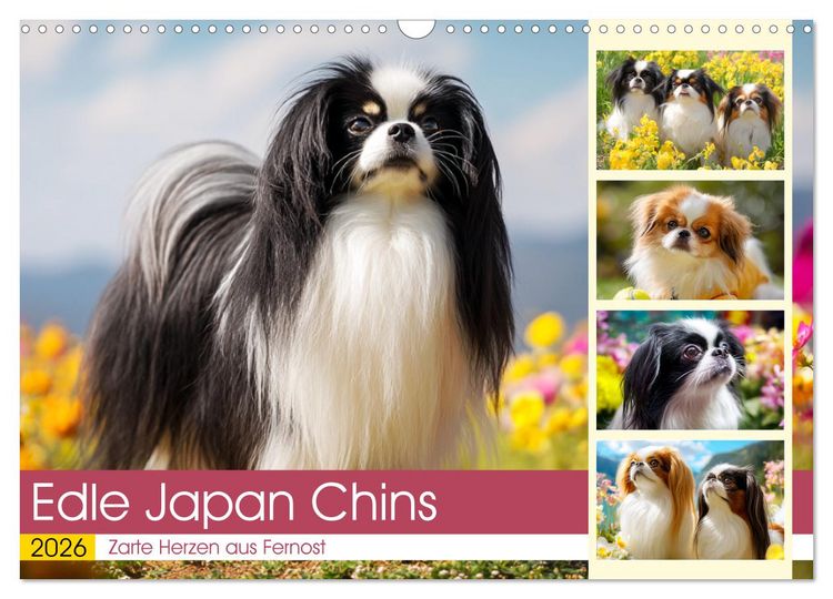 Produktbild: Edle Japan Chins. Zarte Herzen aus Fernost (Wandkalender 2026 DIN A3 quer), CALVENDO Monatskalender