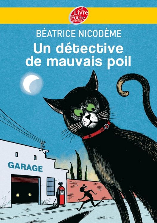 Produktbild: Un d&eacute;tective de mauvais poil