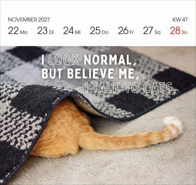 Produktbild: Katzen 2027