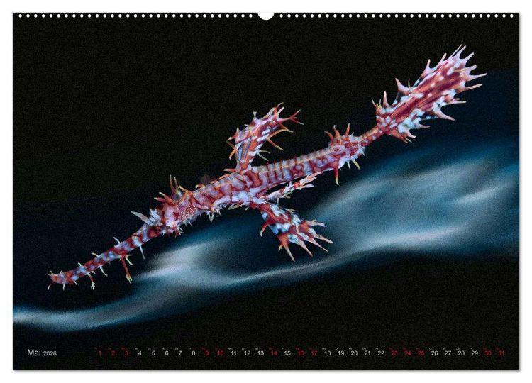 Produktbild: Artwork Unterwasser - Erlebnis Tauchen (Wandkalender 2026 DIN A2 quer), CALVENDO Monatskalender