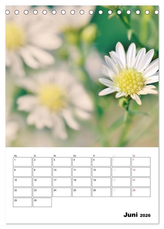 Produktbild: Zauberhafte Bl&uuml;tenwelt / Planer (Tischkalender 2026 DIN A5 hoch), CALVENDO Monatskalender