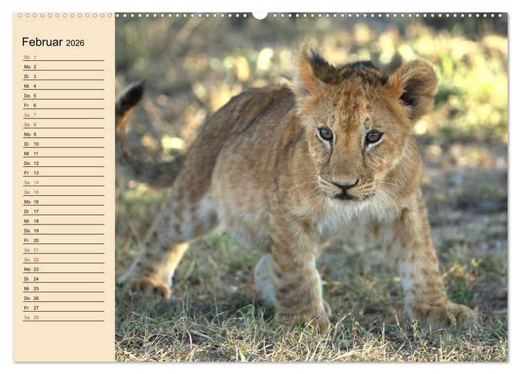 Produktbild: Afrikas wildes Kinderzimmer (hochwertiger Premium Wandkalender 2026 DIN A2 quer), Kunstdruck in Hochglanz