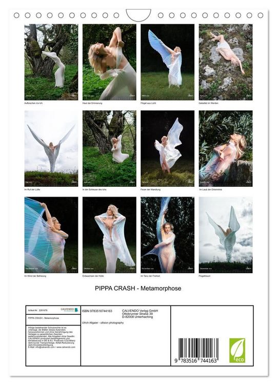Produktbild: PIPPA CRASH - Metamorphose (Wandkalender 2026 DIN A4 hoch), CALVENDO Monatskalender