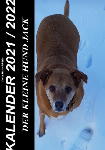 Produktbild: Der kleine Hund Jack - Kalender 2021 / 2022