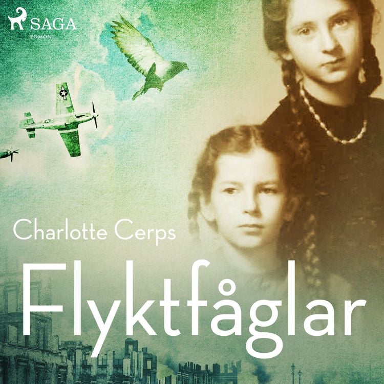 Produktbild: Flyktf&aring;glar
