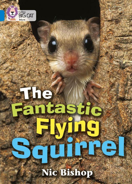 Produktbild: The Fantastic Flying Squirrel