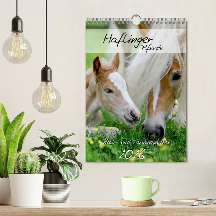 Produktbild: Haflinger Pferde - Stall- und Familienplaner 2026 (Wandkalender 2026 DIN A4 hoch), CALVENDO Monatskalender