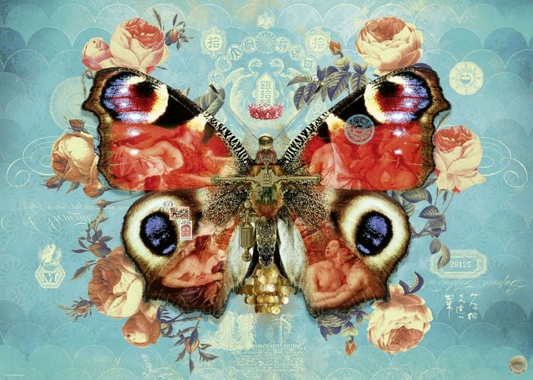 Produktbild: Wings No. 3