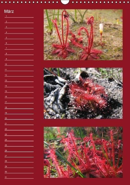 Produktbild: Zauberwelt der Blumen - Eiskristalle & Wasserperlen / Geburtstagskalender (Wandkalender immerw&auml;hrend DIN A3 hoch)