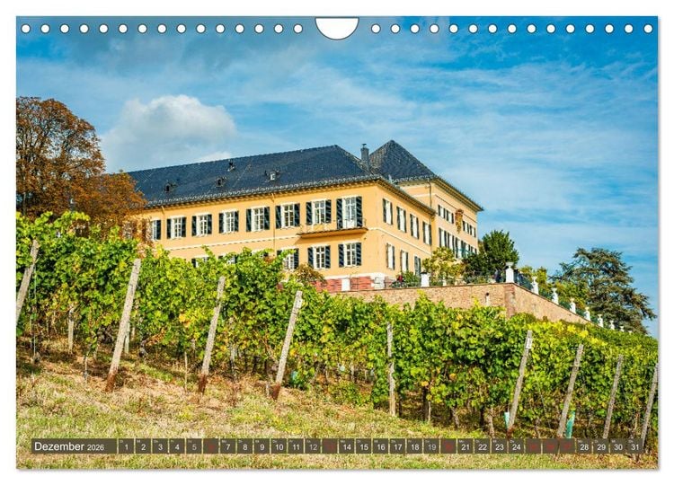 Produktbild: Kulturlandschaft Rheingau (Wandkalender 2026 DIN A4 quer), CALVENDO Monatskalender