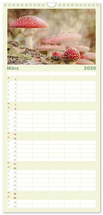 Produktbild: Familienplaner 2026 - Die Welt der Fliegenpilze mit 5 Spalten (Wandkalender, 21 x 45 cm) CALVENDO