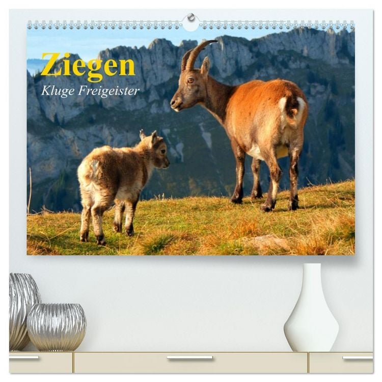 Produktbild: Ziegen. Kluge Freigeister (hochwertiger Premium Wandkalender 2026 DIN A2 quer), Kunstdruck in Hochglanz
