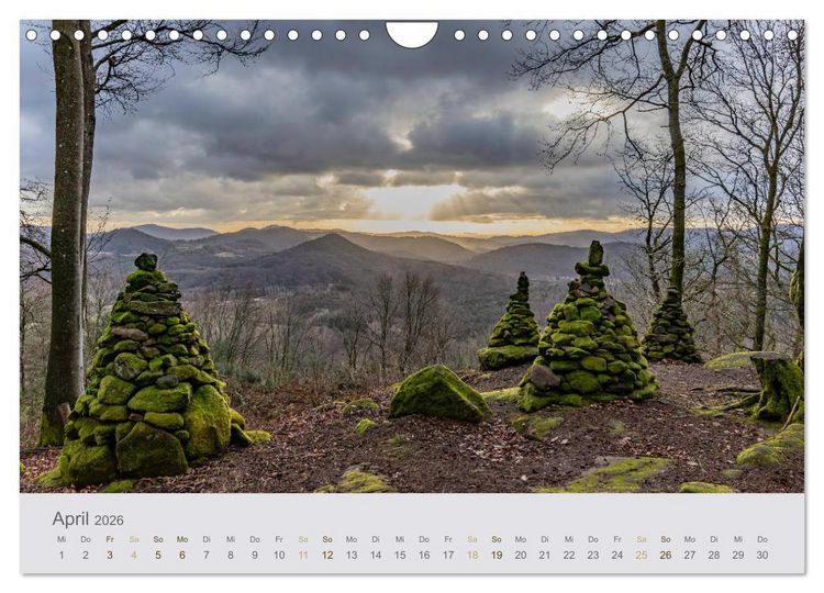 Produktbild: Augenblicke im Pf&auml;lzerwald (Wandkalender 2026 DIN A4 quer), CALVENDO Monatskalender