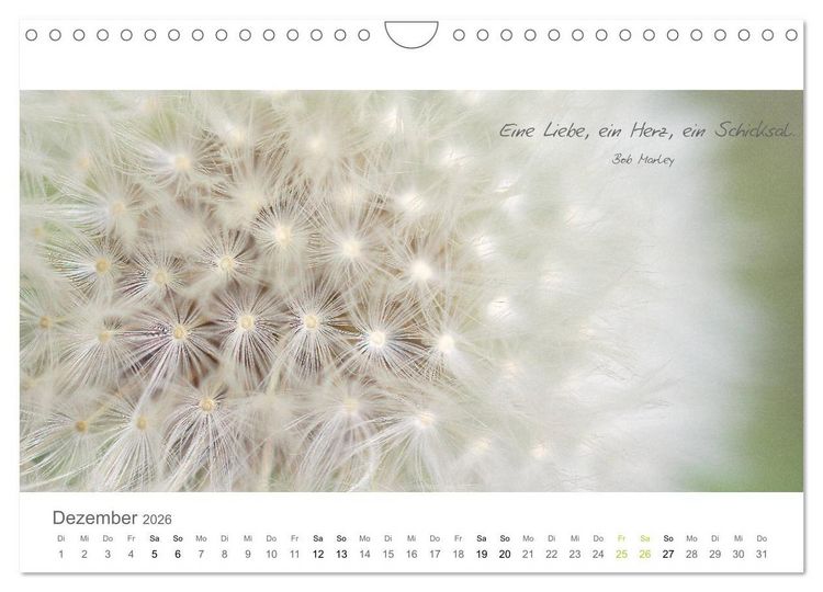 Produktbild: Rendezvous im Park (Wandkalender 2026 DIN A4 quer), CALVENDO Monatskalender
