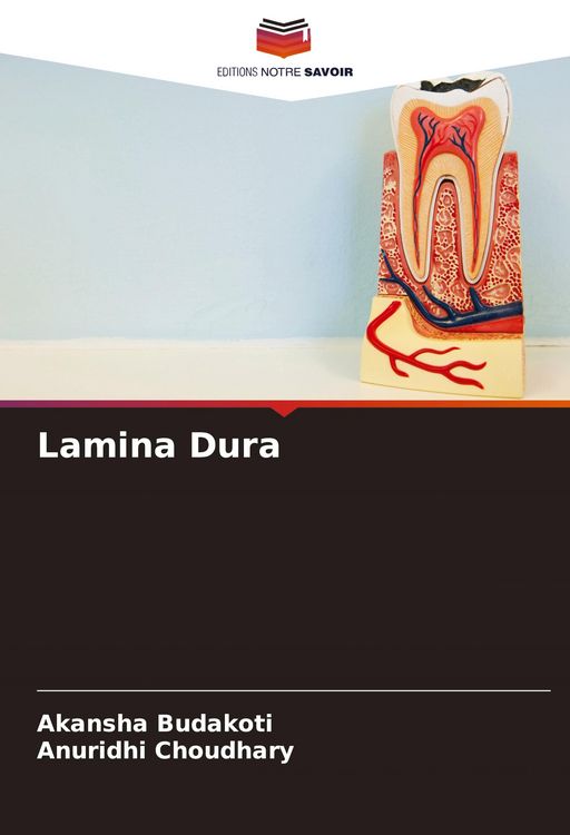 Produktbild: Lamina Dura
