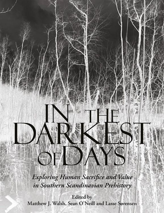 Produktbild: In the Darkest of Days