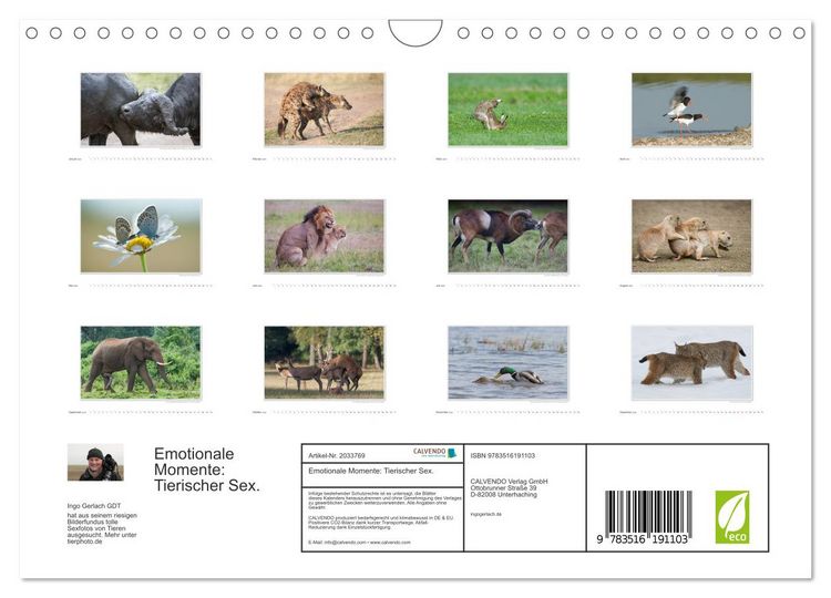 Produktbild: Emotionale Momente: Tierischer Sex. (Wandkalender 2026 DIN A4 quer), CALVENDO Monatskalender