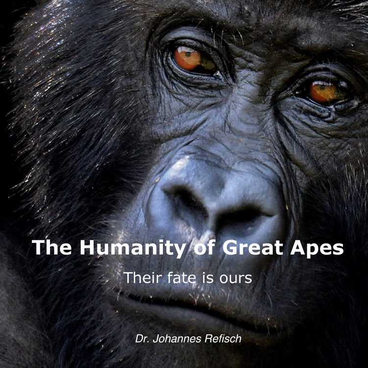 Produktbild: Humanity of Great Apes